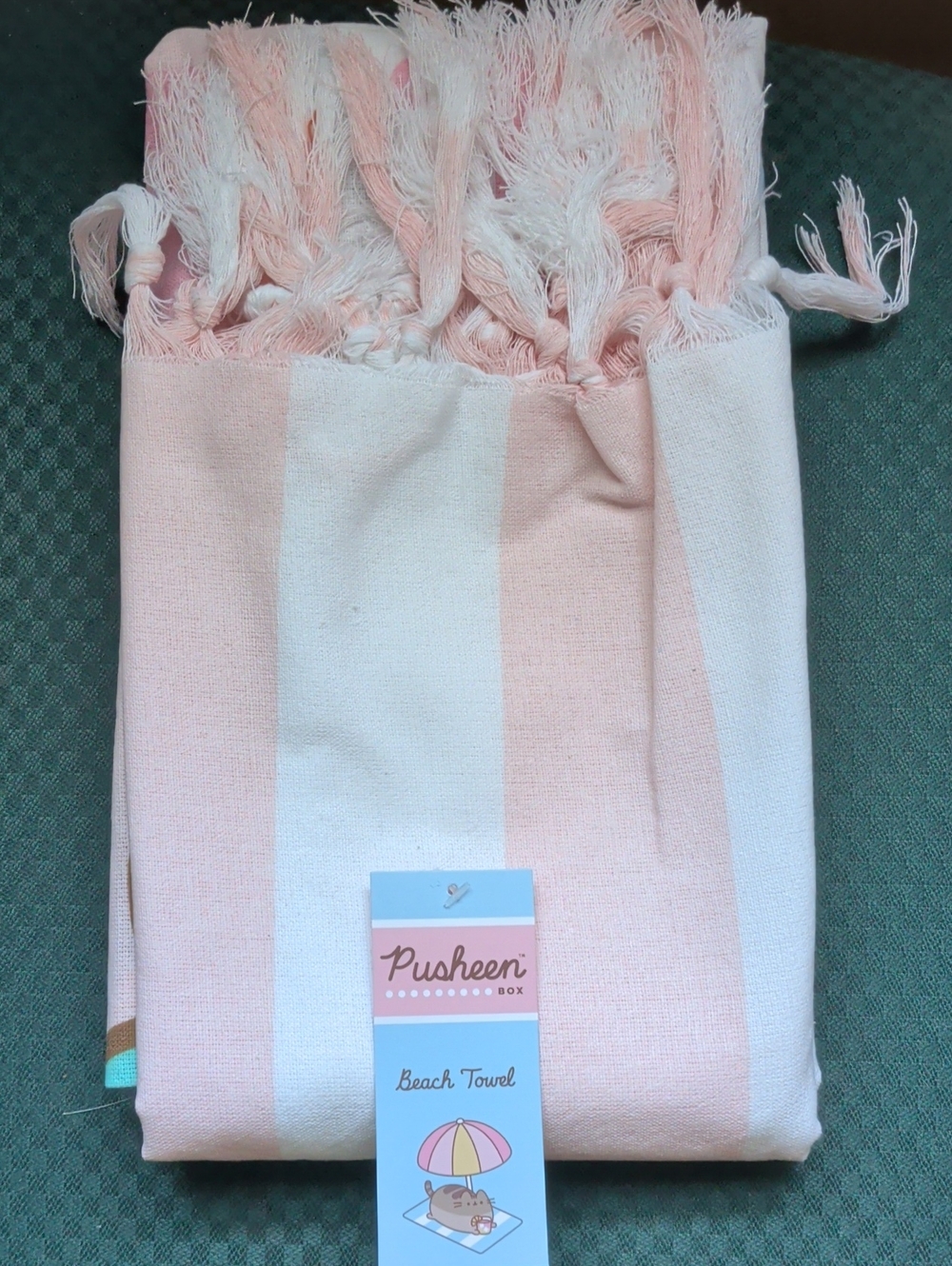 Pusheen Pink & White Striped Beach Towel with Fringe